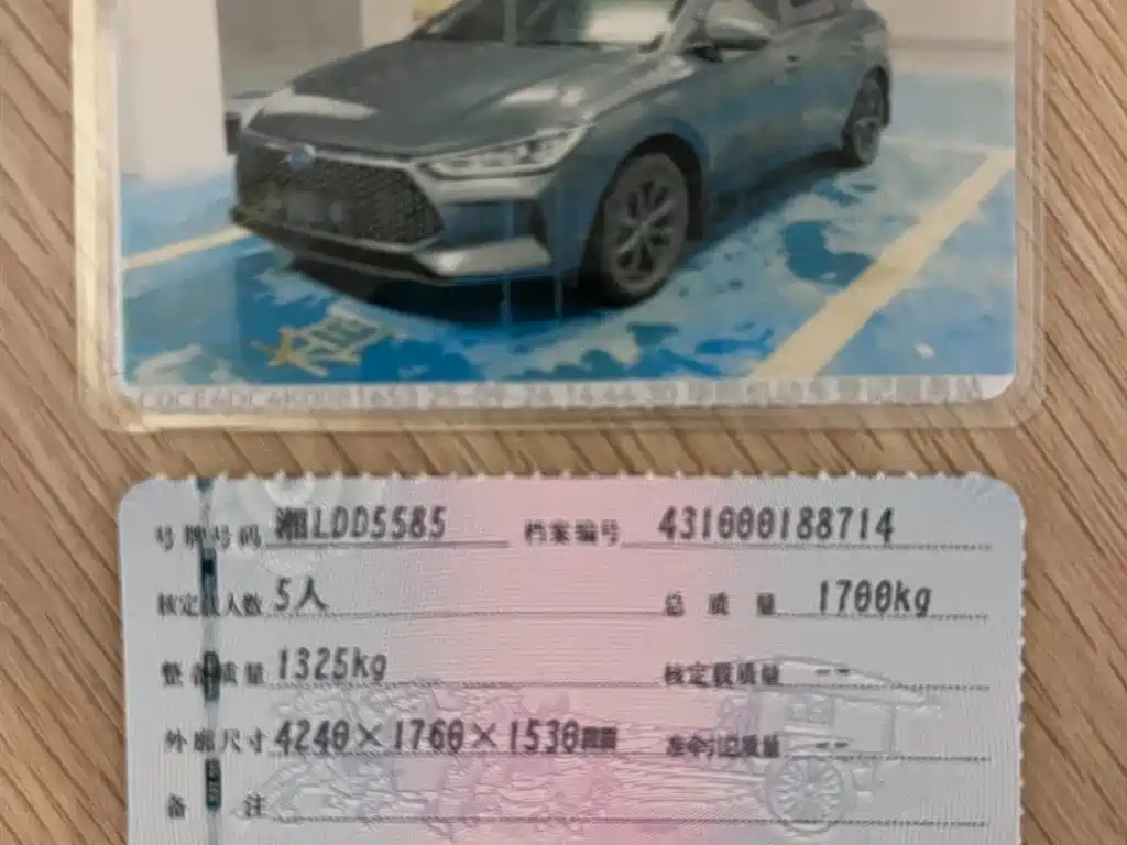 BYD e2 2019 Long Range Yao·Luxury Model фото 17