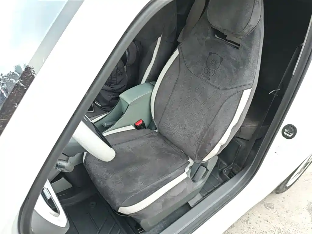 Geely Galaxy Panda 2025 Panda mini 210km Vitality Bear фото 14