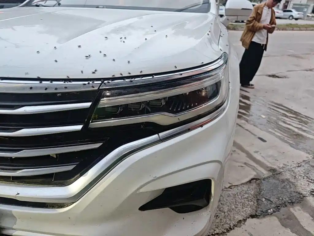 Фото 24 - Roewe RX5 MAX