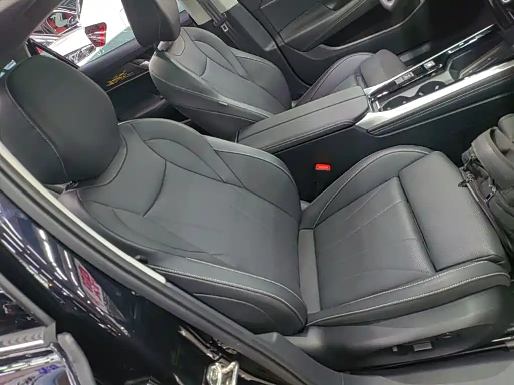 Volkswagen Passat 2025 Pro 380TSI Dragon Glory Edition фото 25