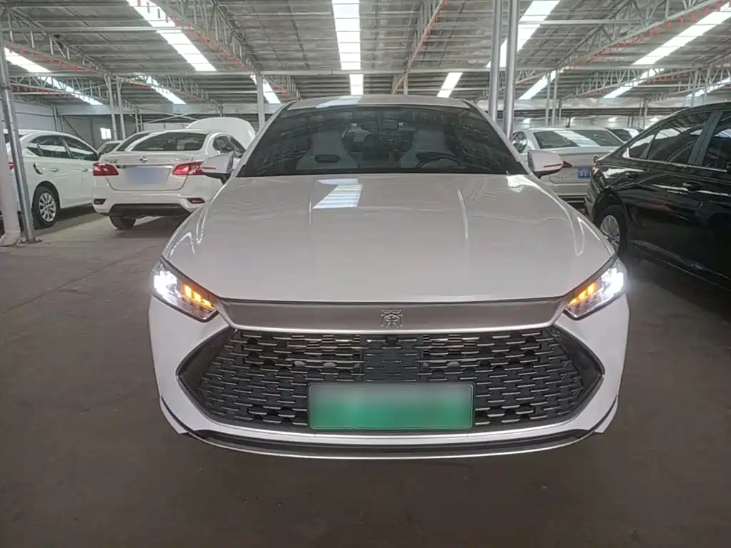 BYD Qin PLUS 2023 Champion Edition DM-i 55KM Leading фото 3