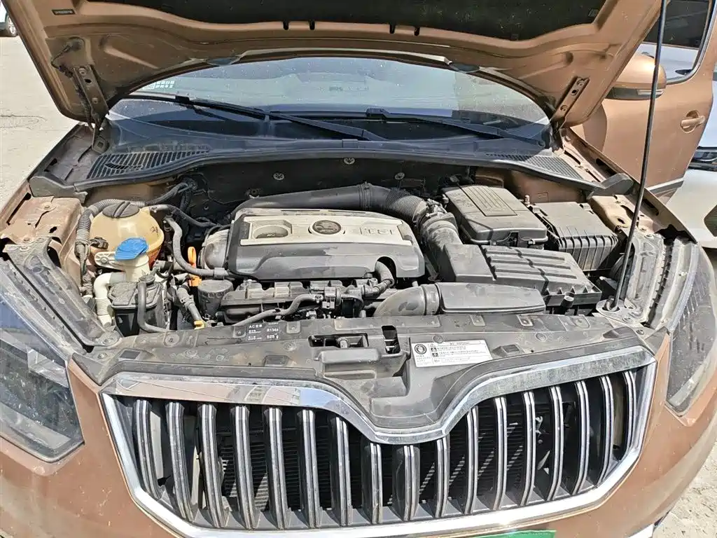 Škoda Yeti 2014 1.8TSI DSG Polar Edition фото 11