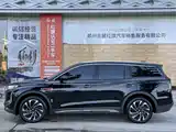 Photo 10 - Hongqi HS7 PHEV