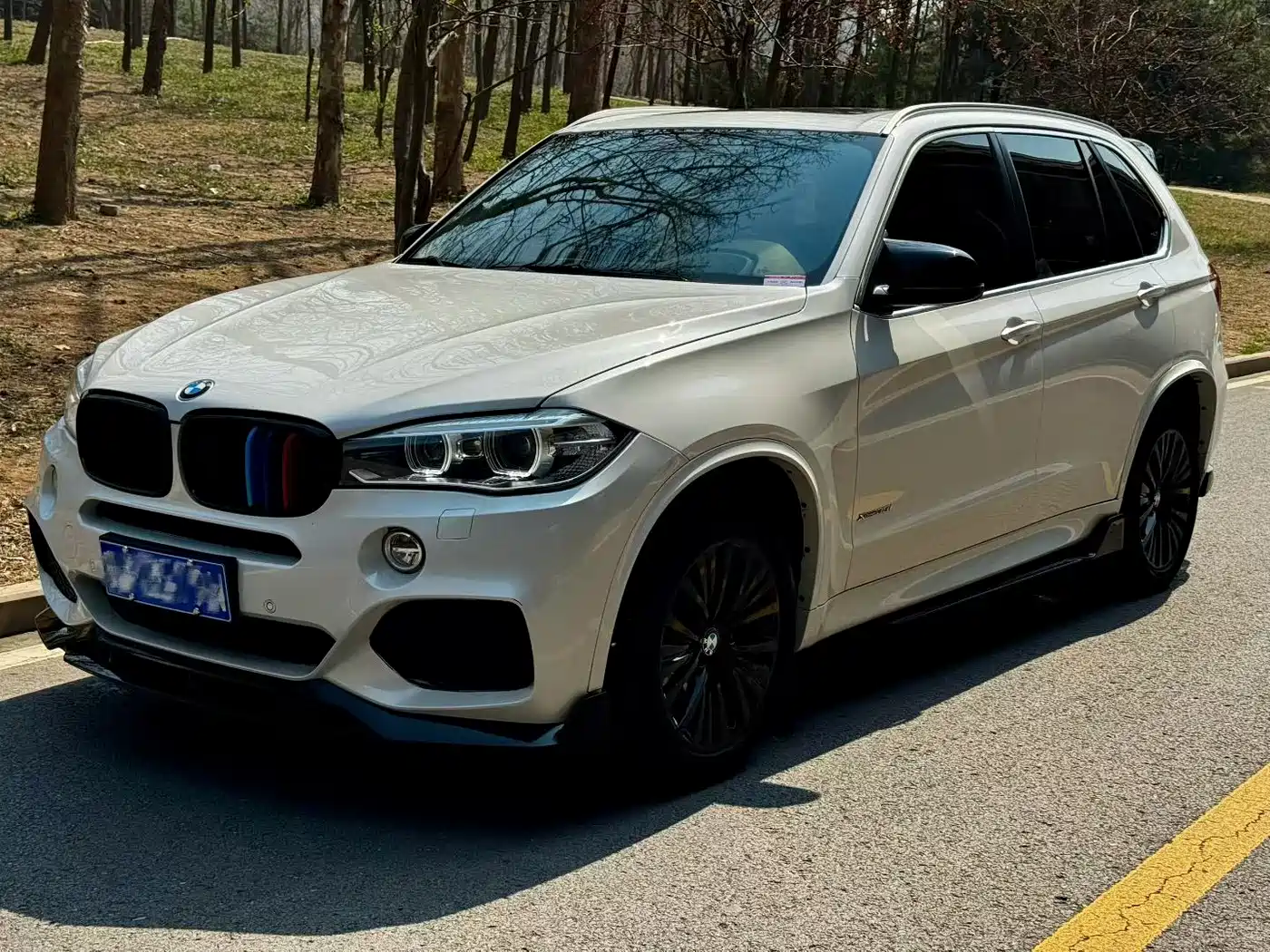 BMW X5 (Import) 2014 xDrive35i Leading