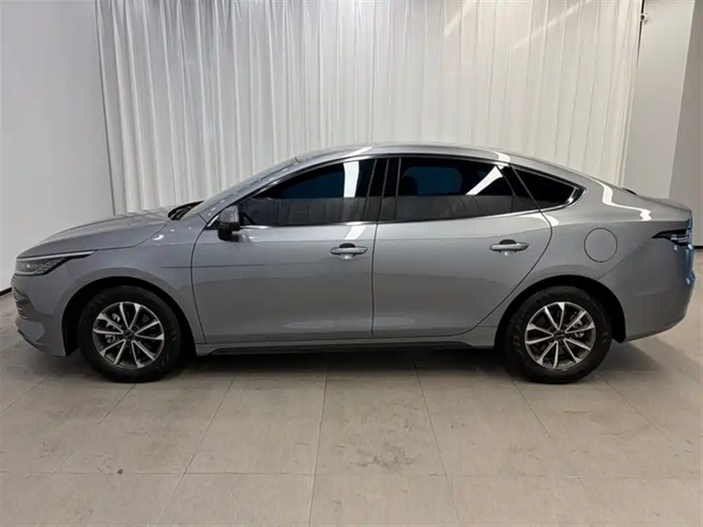 BYD Destroyer 05 2024 Glory Edition DM-i 55KM Luxury фото 3