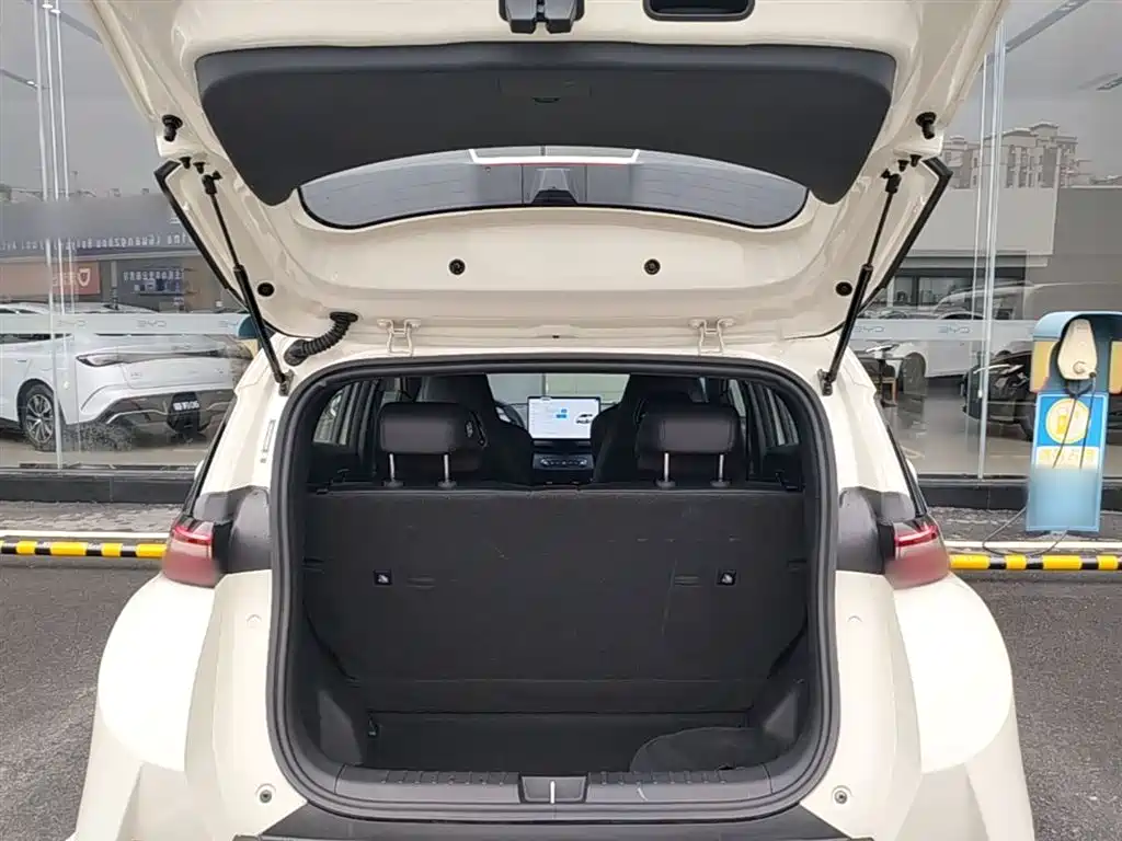 BYD Seagull 2025 Smart Drive Edition 305km Freedom Version фото 19