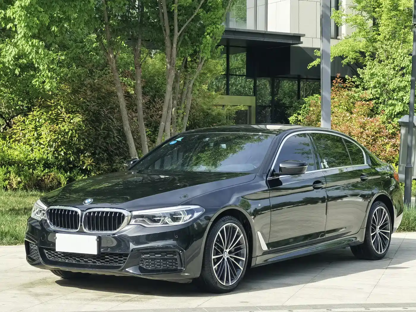 BMW 5 Series 2020 530Li Leading M Sport Package