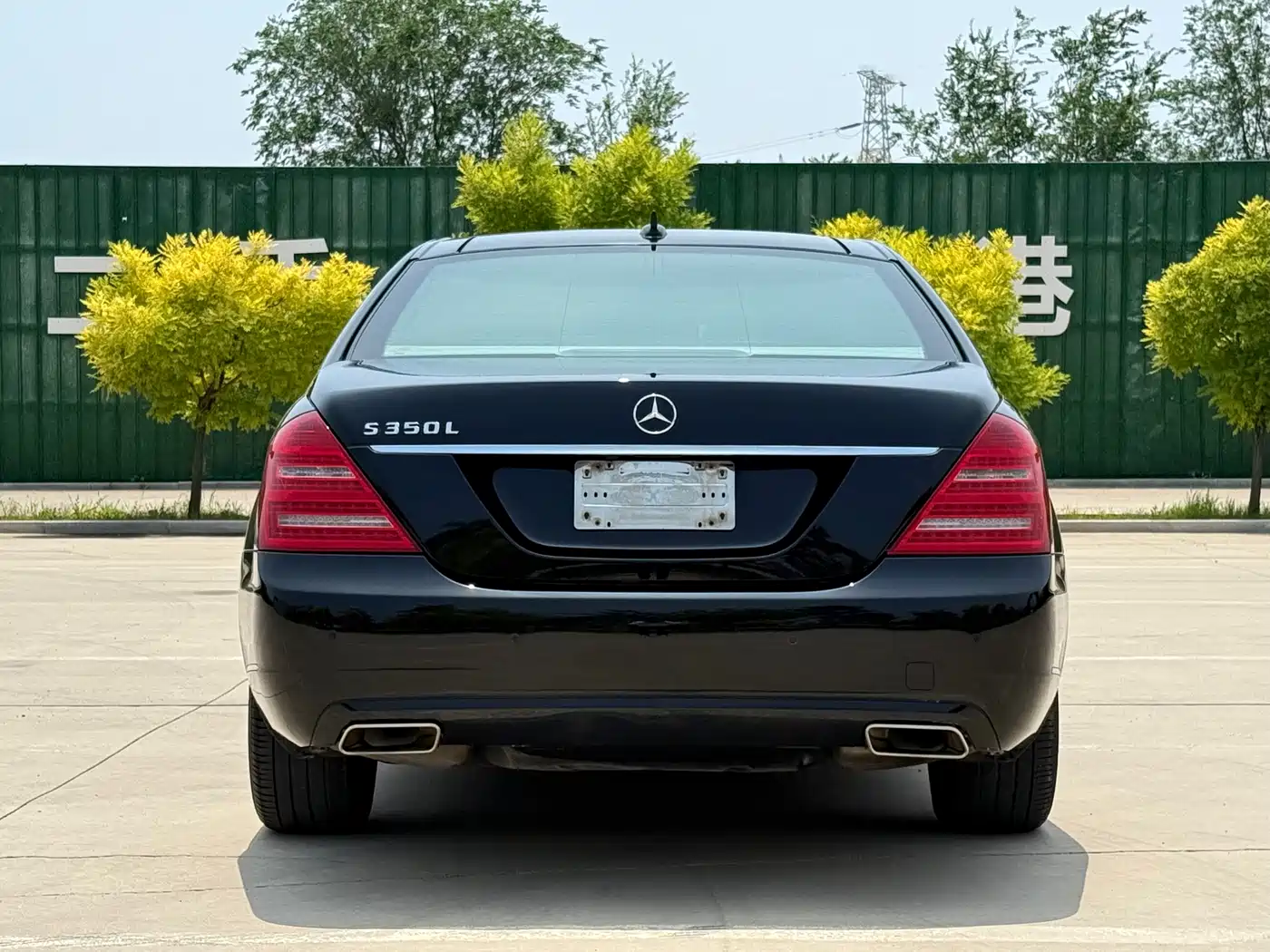 Mercedes-Benz S-Class 2010 S 300 L Business фото 6