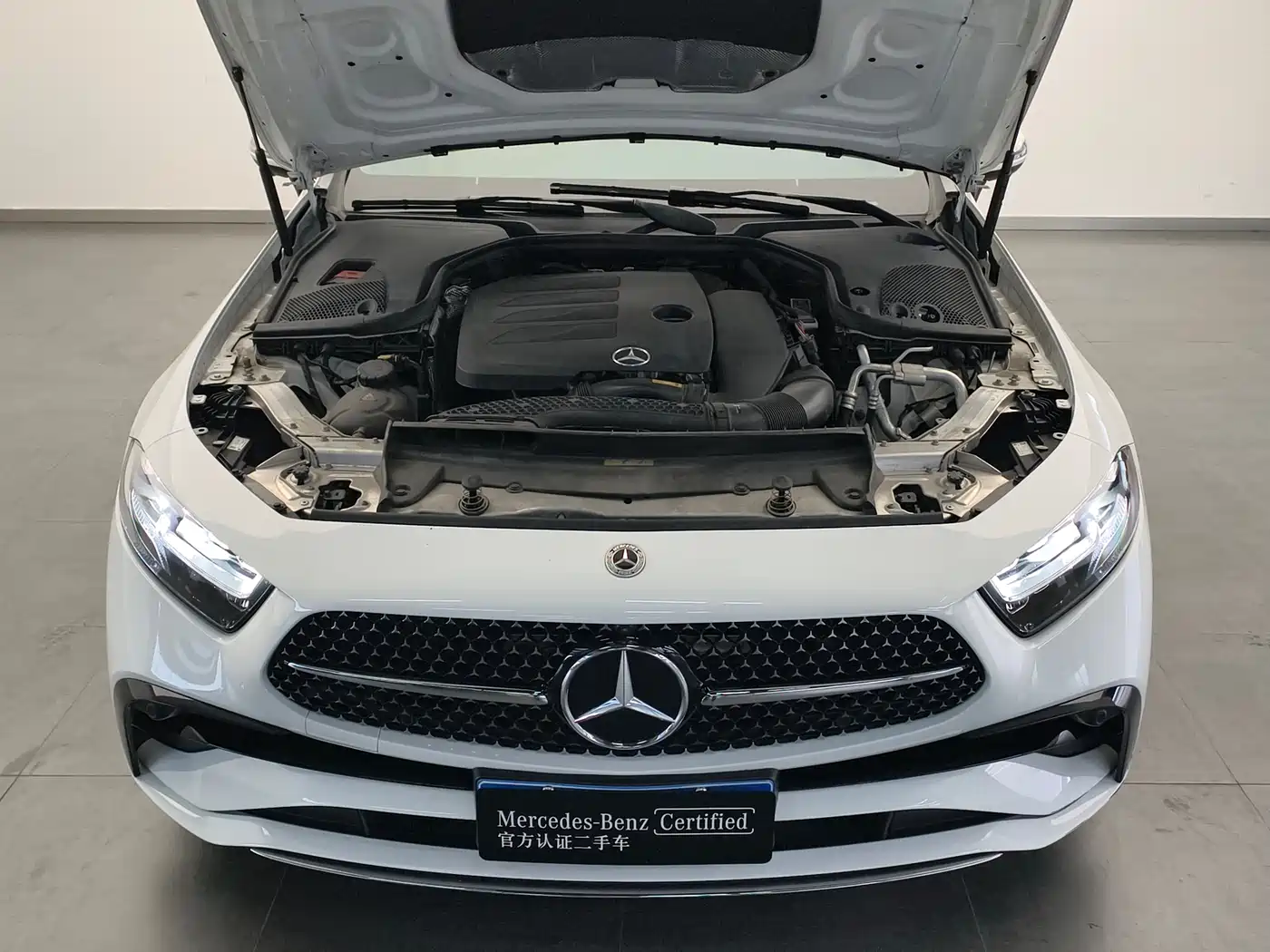 Mercedes-Benz CLS 2022 CLS 300 Luxury фото 22