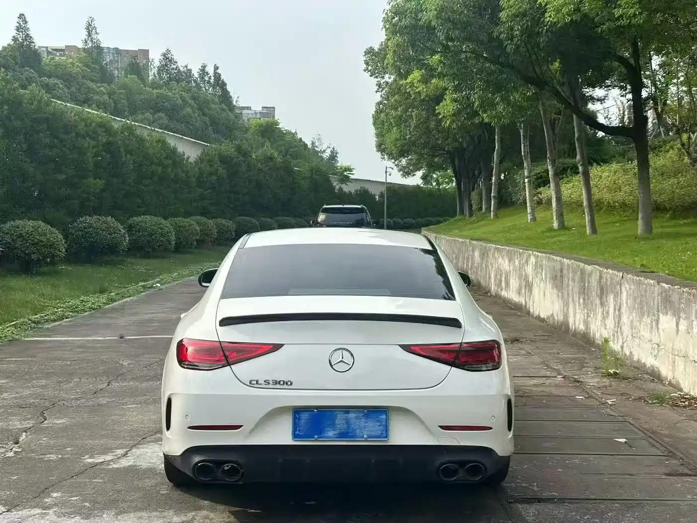 Mercedes-Benz CLS 2021 CLS 300 Luxury фото 9