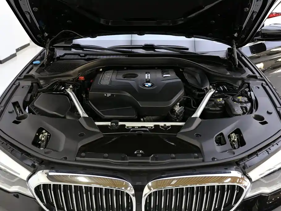 BMW 5 Series 2020 530Li Leading Luxury Package фото 23