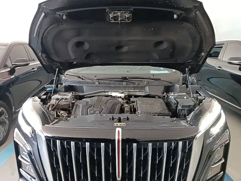 Hongqi HS3 PHEV 2025 2024 PHEV 115km Power Edition