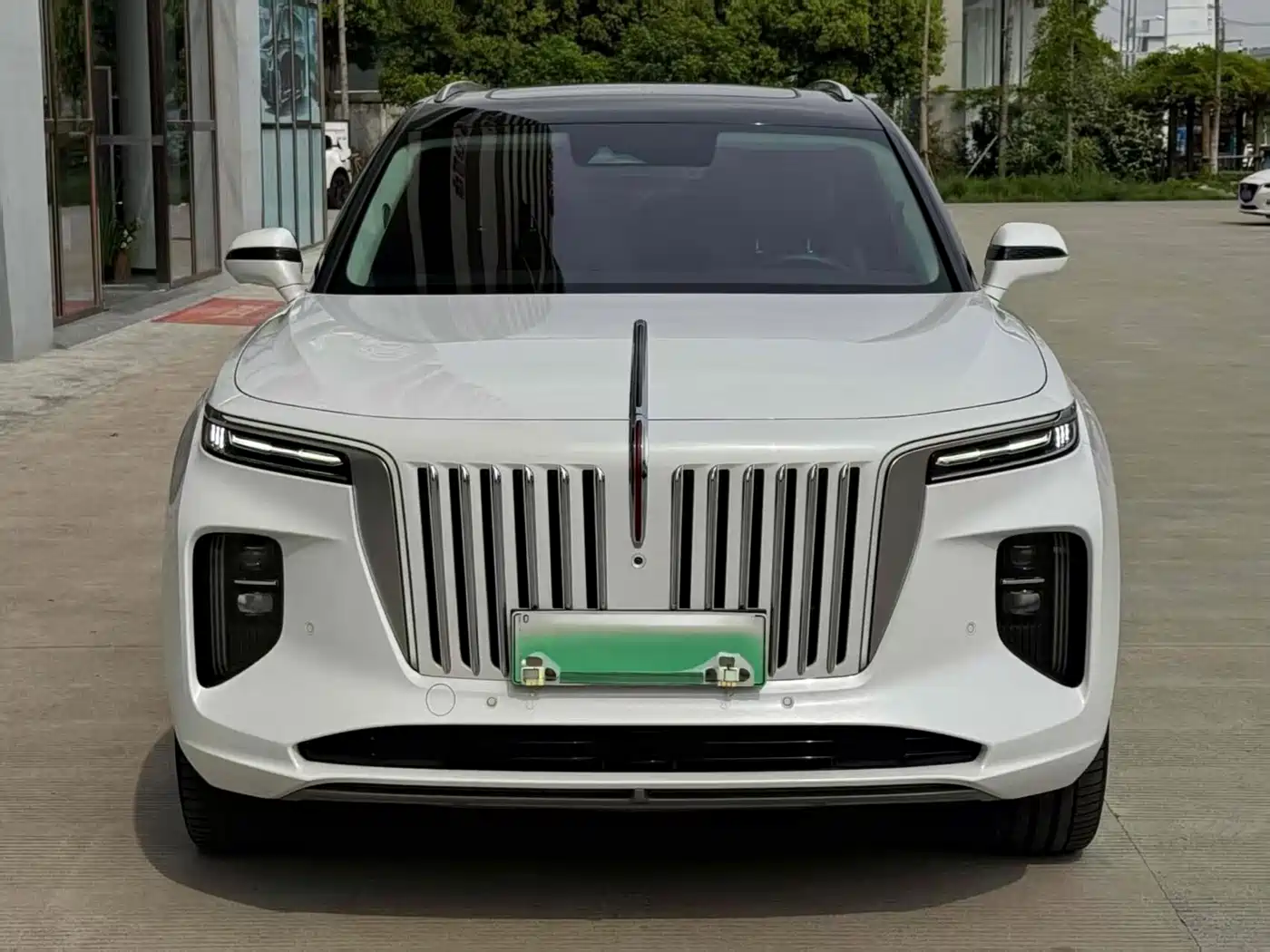 Hongqi E-HS9 2022 2022 660km Qi Chang Edition (6-seater)