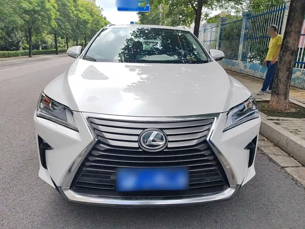 Lexus RX 2016 2016 300 2WD Elite Edition (China V)