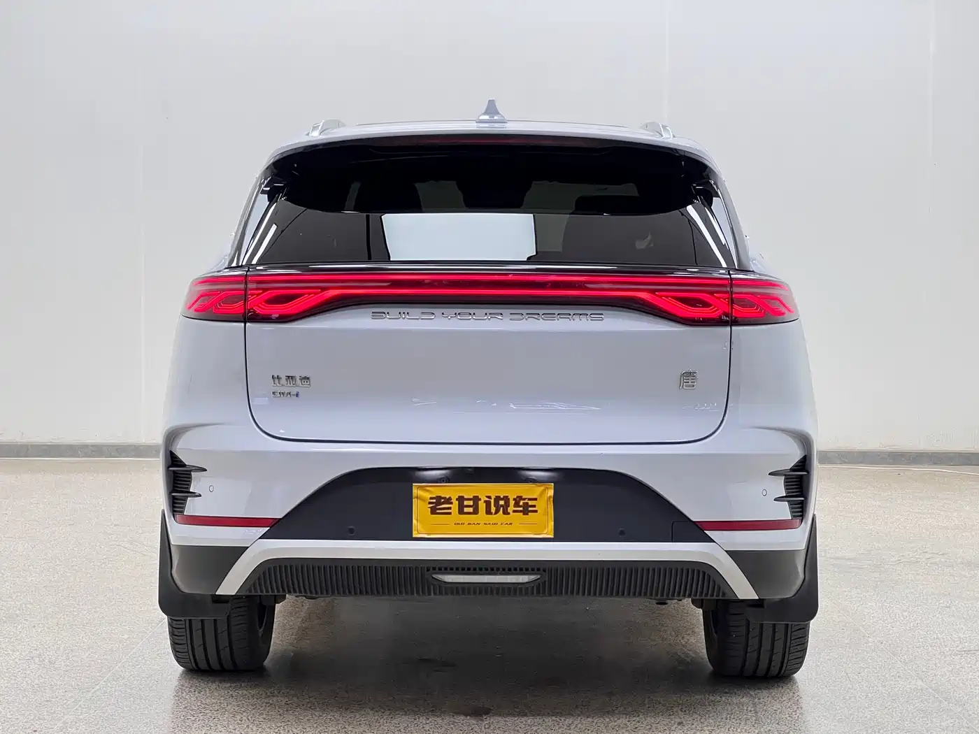 BYD Tang New Energy 2024 DM-i Honor Edition 112KM Premium фото 6