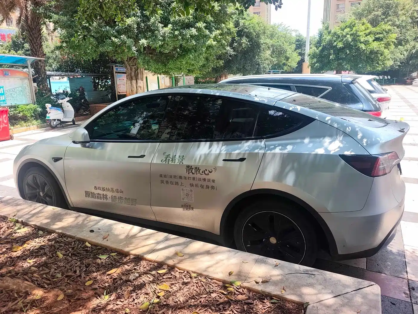 Фото 5 - Tesla Model Y