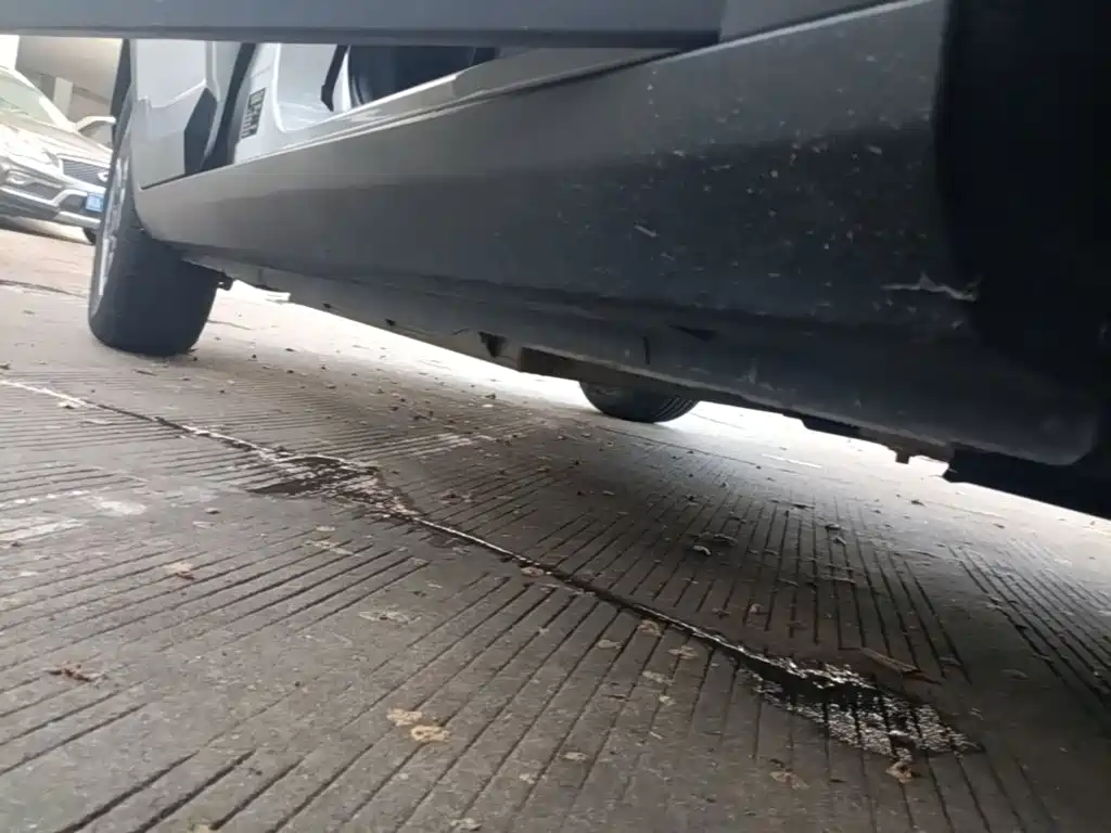 Geely Geometry E Firefly 2024 2024 Model 301km Light Flow