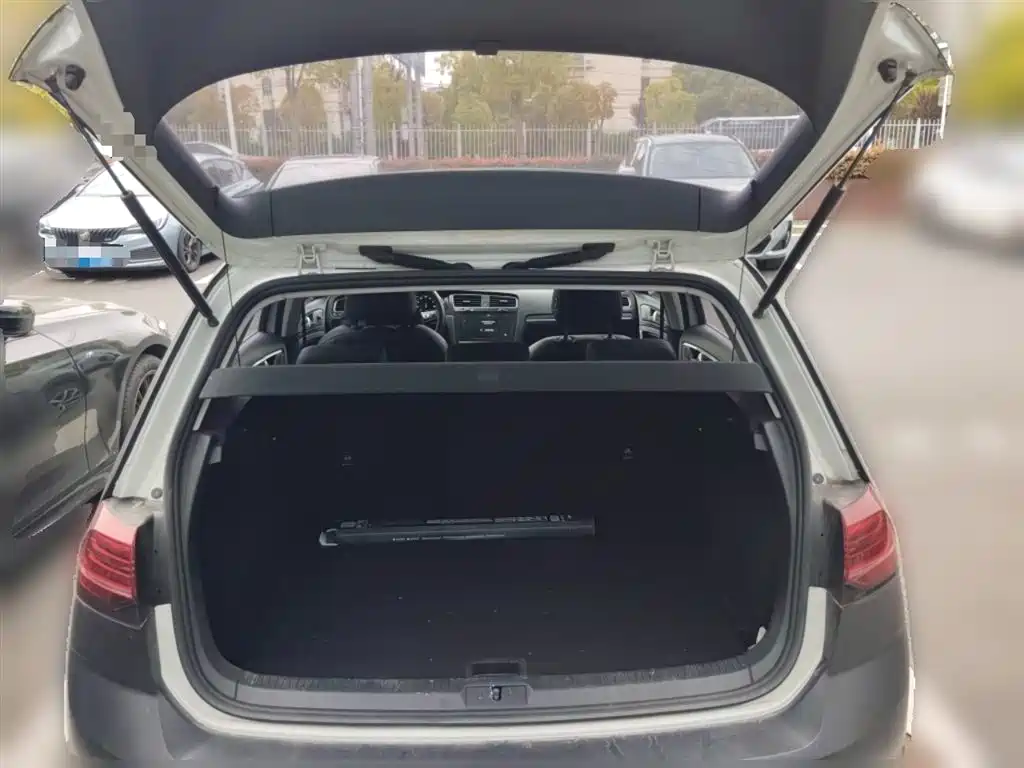Volkswagen Golf 2020 Beloved Edition 280TSI DSG Luxury фото 10