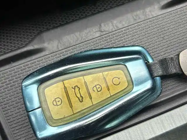 GEELY AUTOMOBILE XINGYUE L