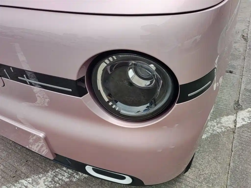 Geely Galaxy Panda 2025 Panda mini 210km Vitality Bear фото 24