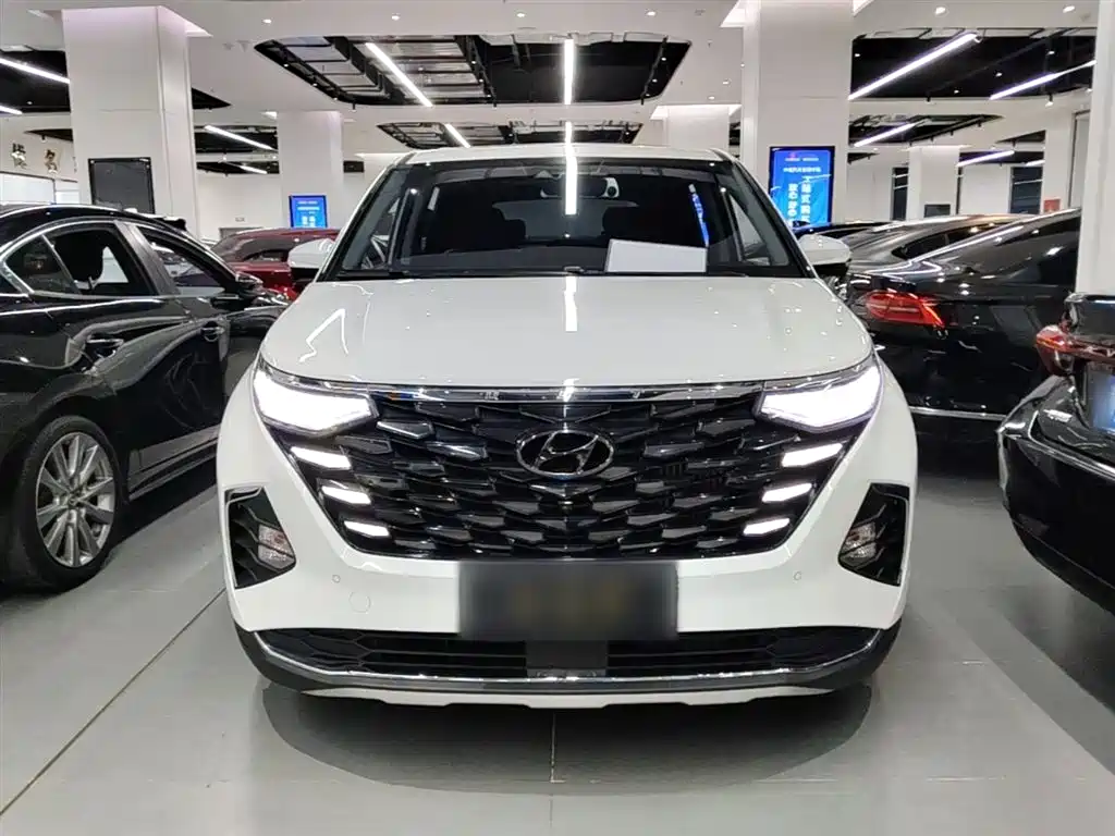 Фото 3 - Hyundai Custo
