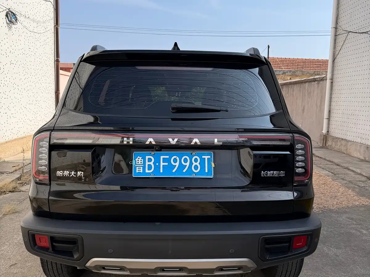 HAVAL BIG DOG