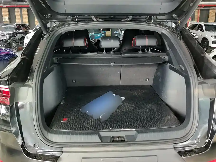 BYD Song PLUS 2020 1.5T Automatic Flagship фото 4