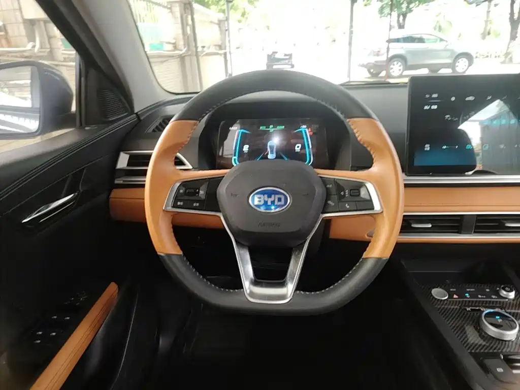 BYD e2 2021 2020 Upgraded Long Range Luxury