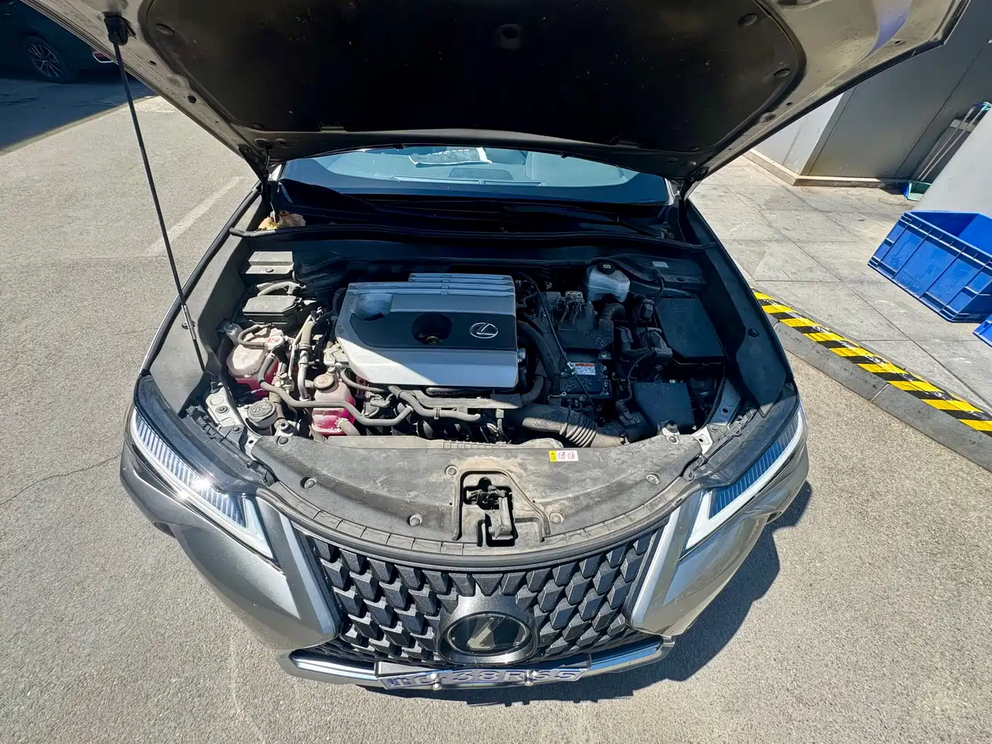 Lexus UX 2022 260h Fun Edition фото 13