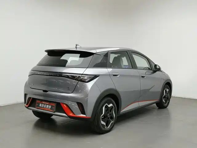 BYD Dolphin 2021 Model 405km Fashion Edition — фото 2