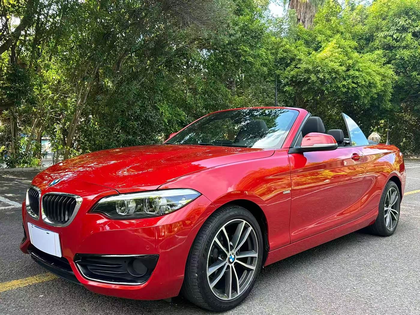 BMW 2 Series (Import)