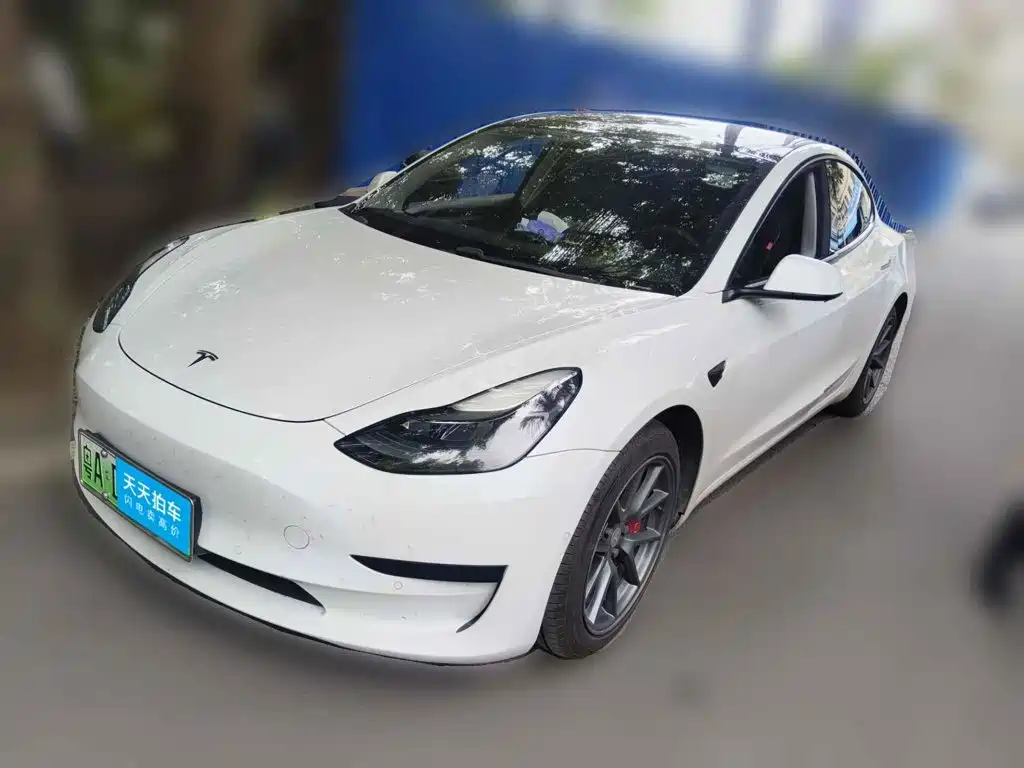 Tesla Model 3 2021