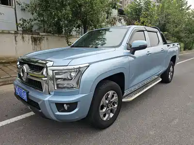 Great Wall King Kong Poer