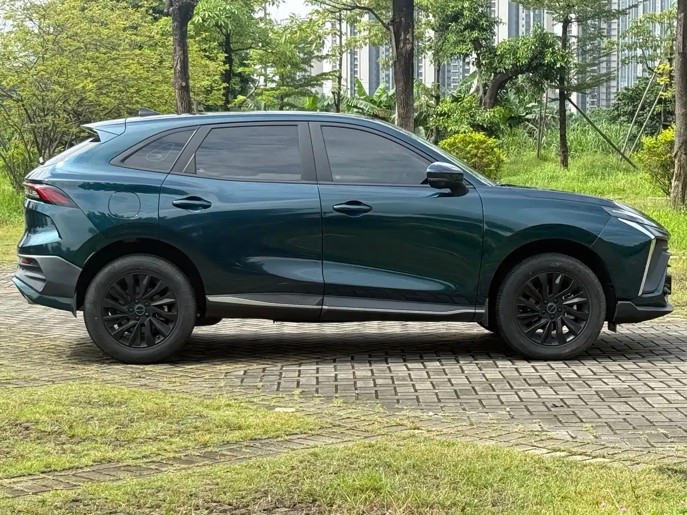 Dongfeng Fengxing Fengxing T5 EVO 2023 2024 1.5TD DCT Starry Sky Edition