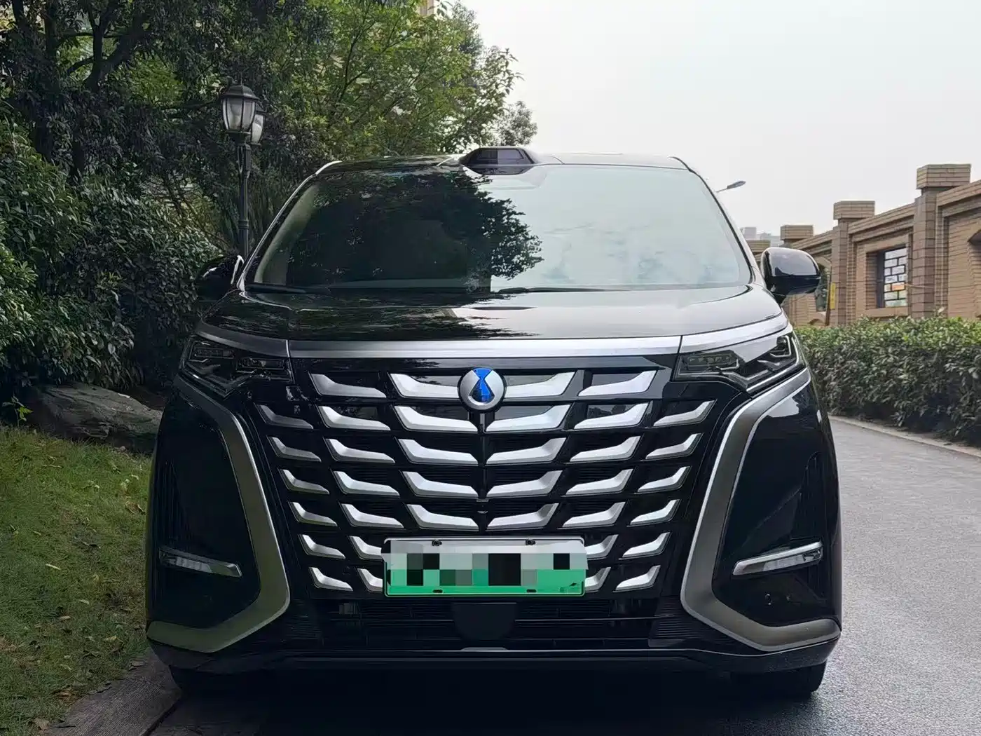 Denza D9 2025 — пригон из Китая