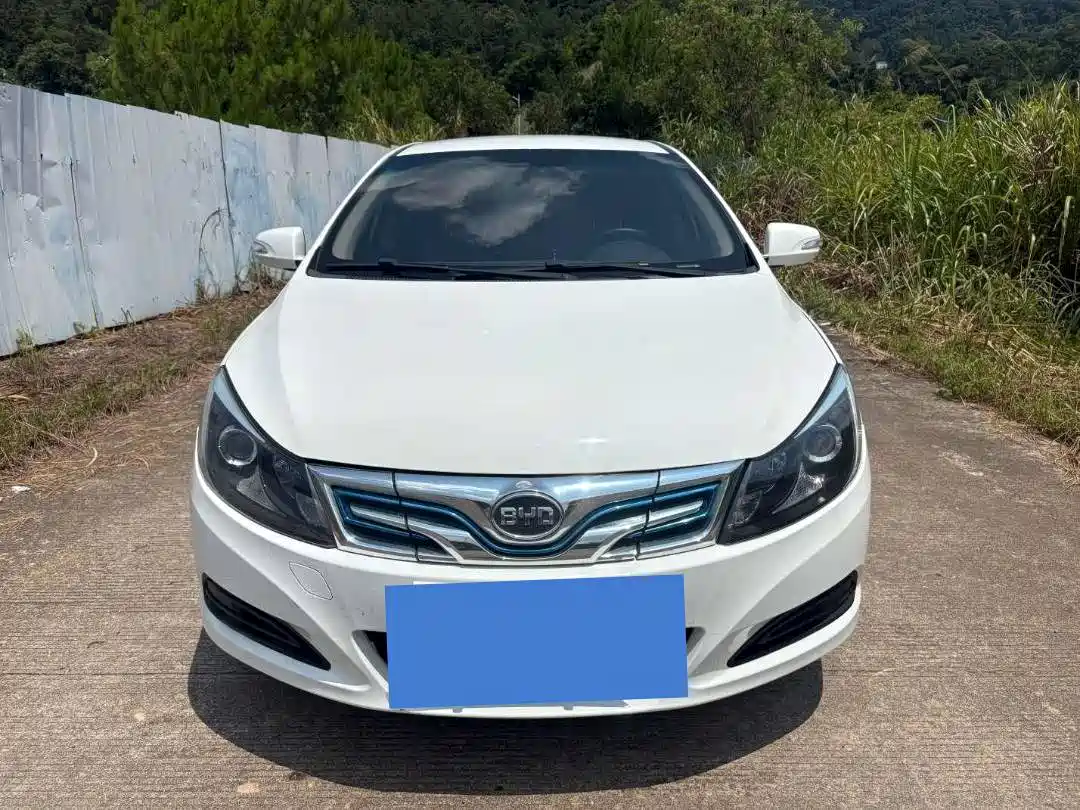 2019 BYD e5