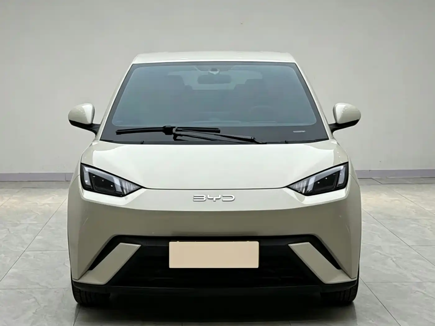  BYD Seagull 2025 305km Freedom