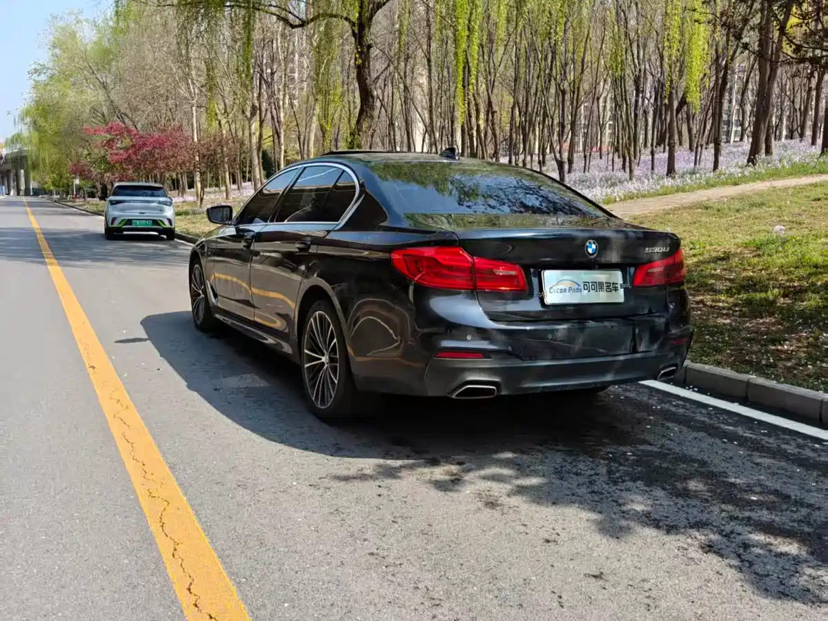 BMW 5 Series 2020 530Li Leading M Sport Package фото 6