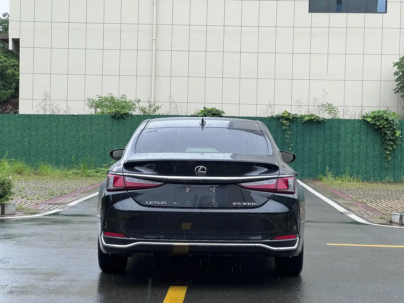 Lexus ES 2022 300h Excellence Edition фото 5