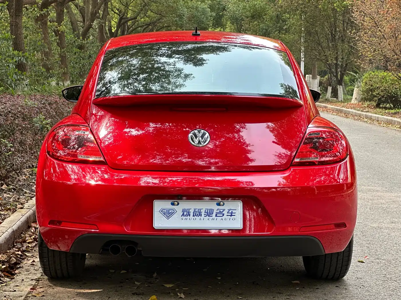 Volkswagen Beetle 2013 1.4TSI Fashion Edition фото 5