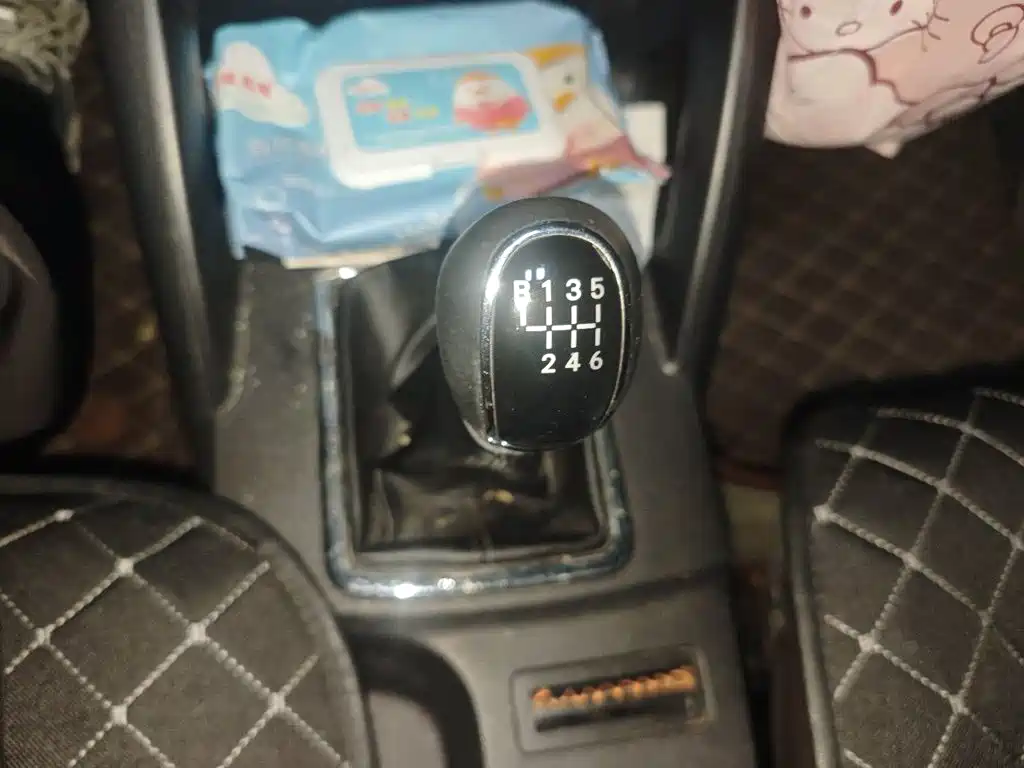 Bisu Auto Bisu T5 2017 2017 1.5T Manual Luxury