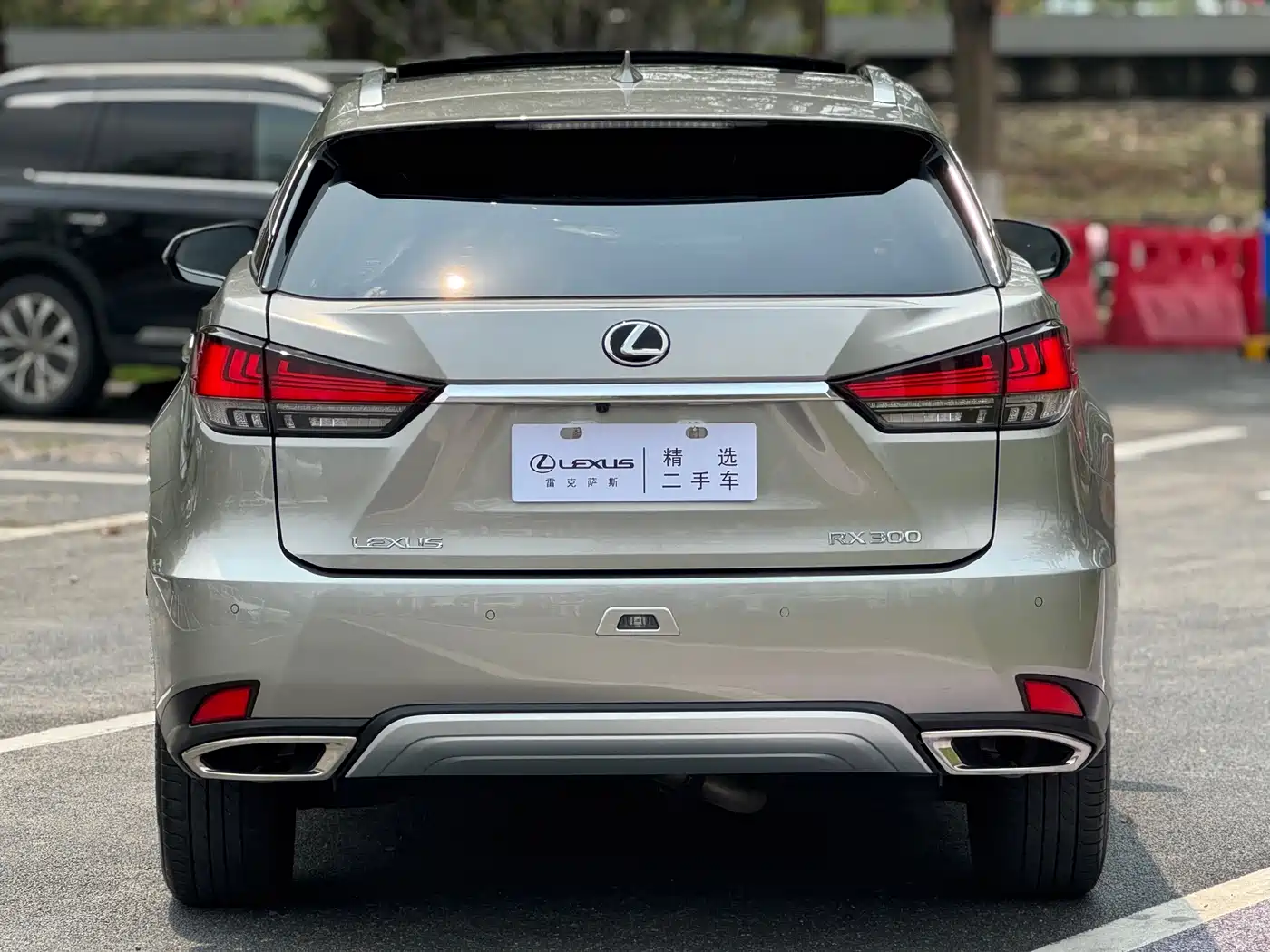 LEXUS RX