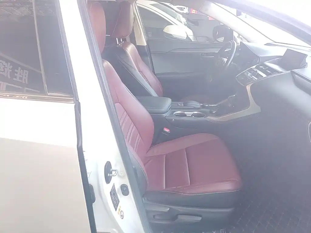 Фото 25 - Lexus NX