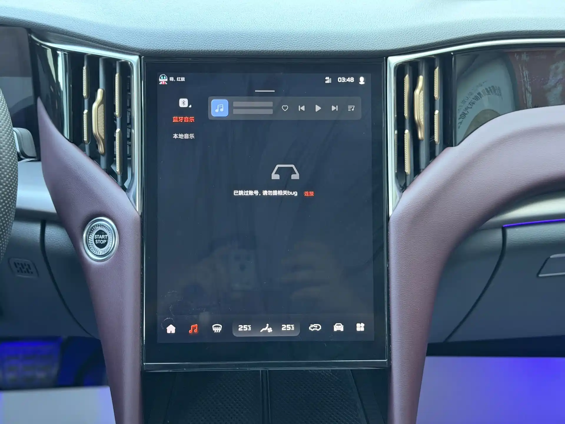 Photo 22 - Hongqi HS7 PHEV