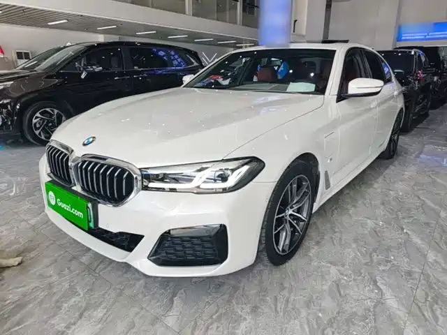BMW 5 Series Рестайлинг, 535Le, M Спорт-пакет