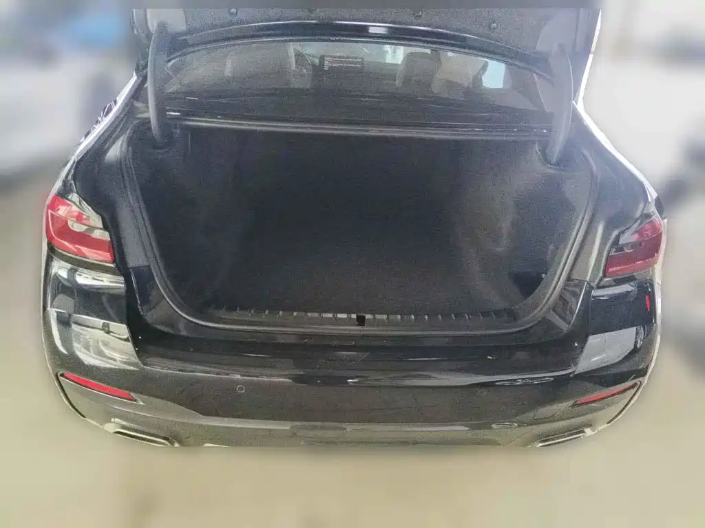BMW 5 Series, миниатюра 13