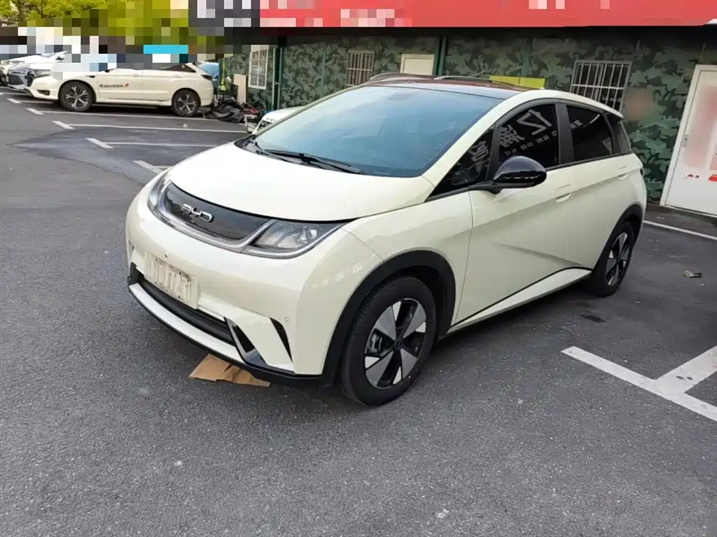 BYD Dolphin 2023 420km Fashion Edition фото 2