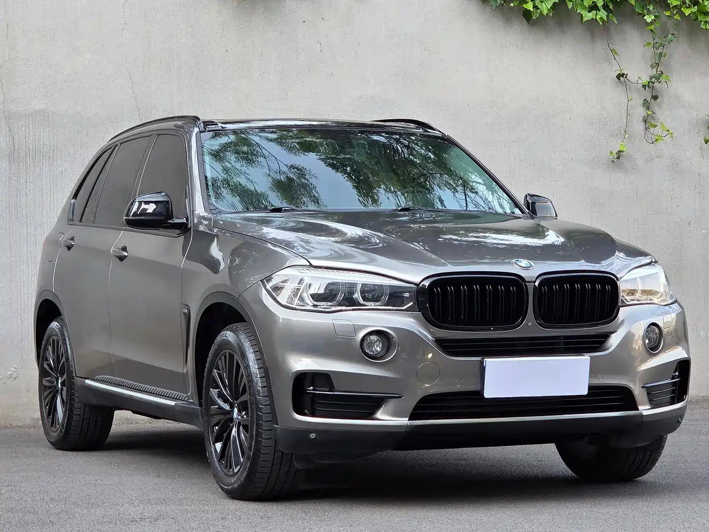 BMW X5 (Import) 2017 xDrive28i фото 3