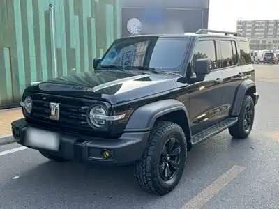 Tank 300