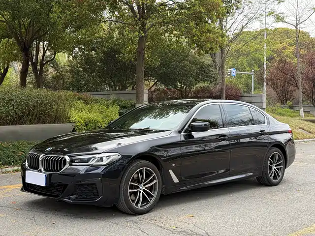 BMW 5 SERIES